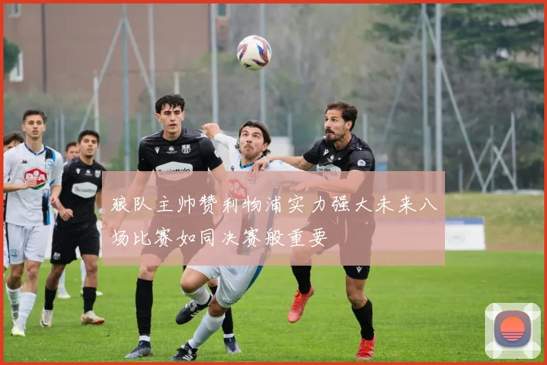 狼队主帅赞利物浦实力强大未来八场比赛如同决赛般重要