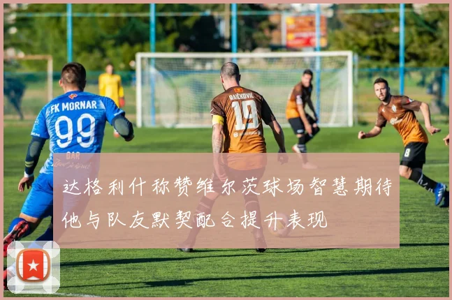 达格利什称赞维尔茨球场智慧期待他与队友默契配合提升表现