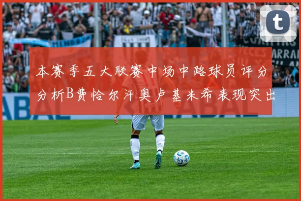 本赛季五大联赛中场中路球员评分分析B费恰尔汗奥卢基米希表现突出